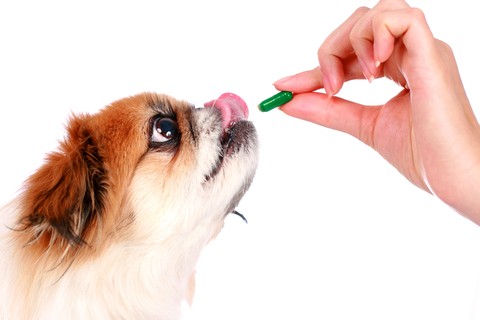 Shake Up in the Pharmaceutical Industry Affects Veterinary Medicine