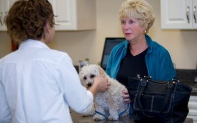 Veterinary Medicine: It’s a Person-Pet-Vet Connection