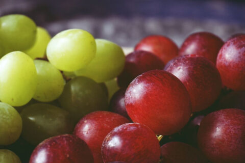 19 Household Items That Can Poison Your Dog | Atlantic Veterinary Hospital - Are Black Grapes Poisonous To Dogs