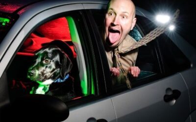 3 Safety Tips for Traveling in a Car with a Pet