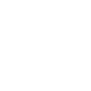 cat icon