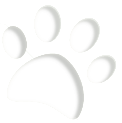 A pet paw print