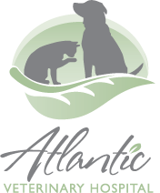 Atlantic Veterinary Hospital vertical logo