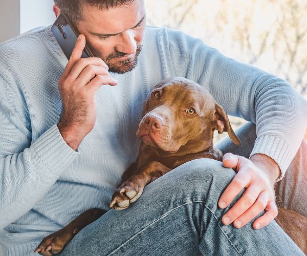 A man talking on the phone with a dog on his lap