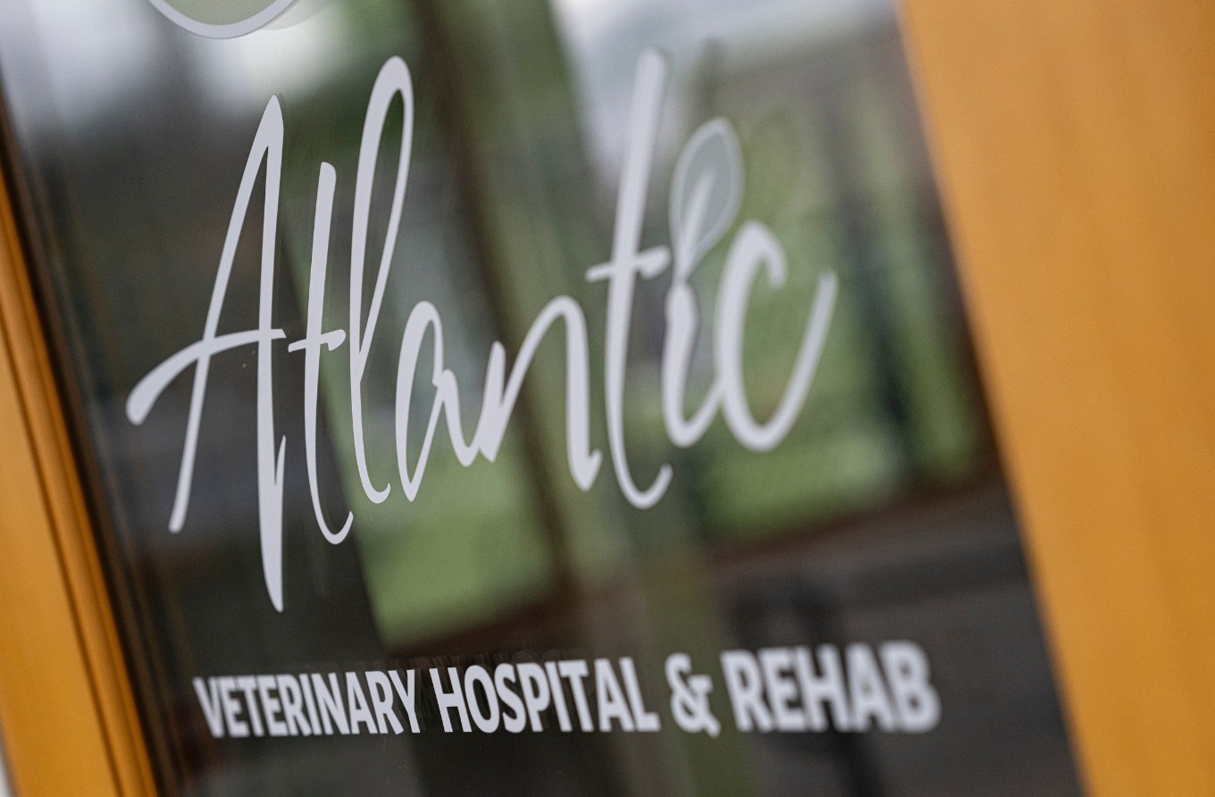 Atlantic Veterinary Hospital & Rehab sign on glass door