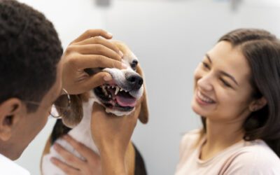 February is National Pet Dental Health Month!